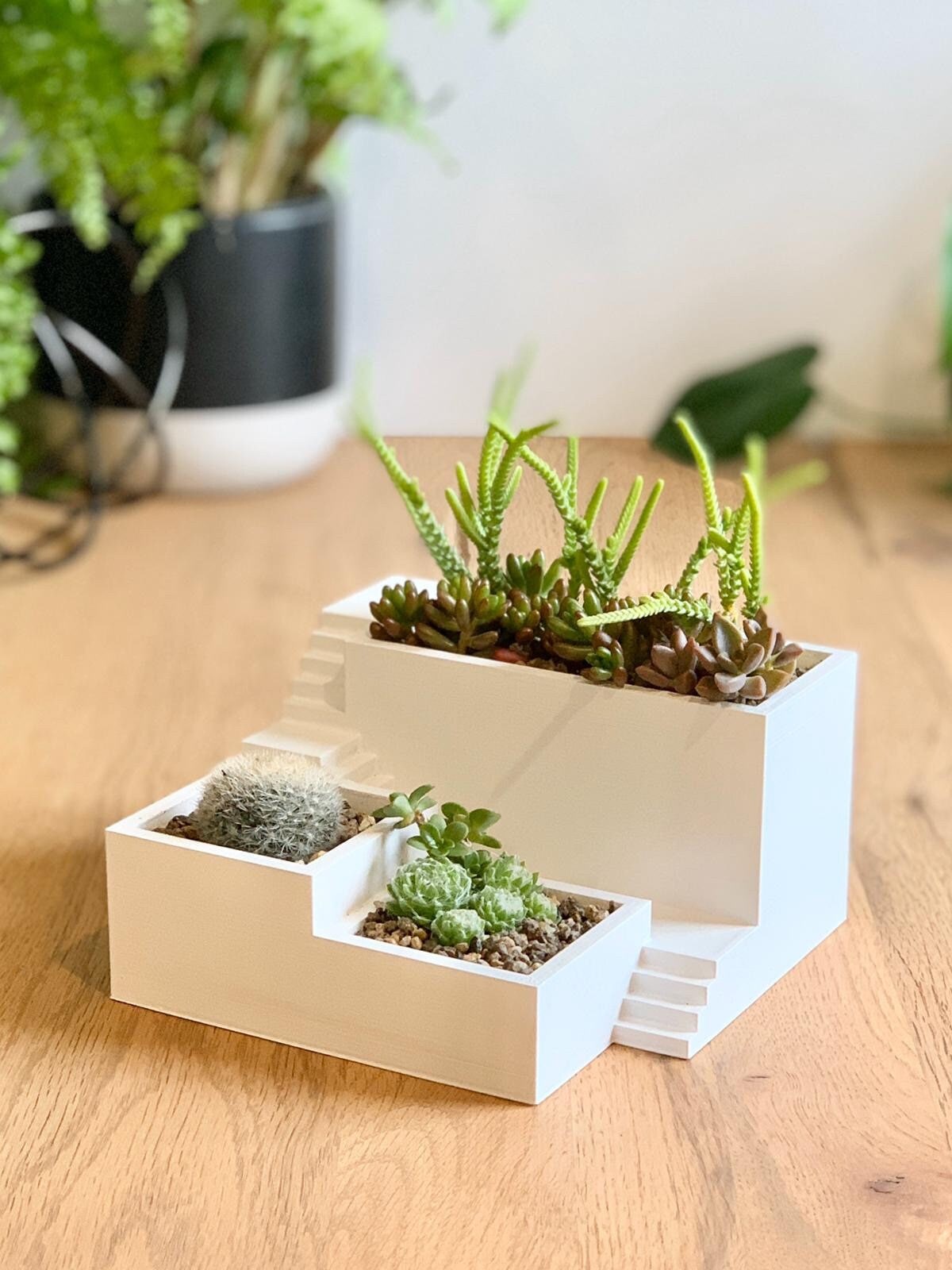 Zen Garden 3D Printed Triple Planter /Custom Color/Great Gift for a Plant Lover/Succulent Plant Holder with drainage and reservoir