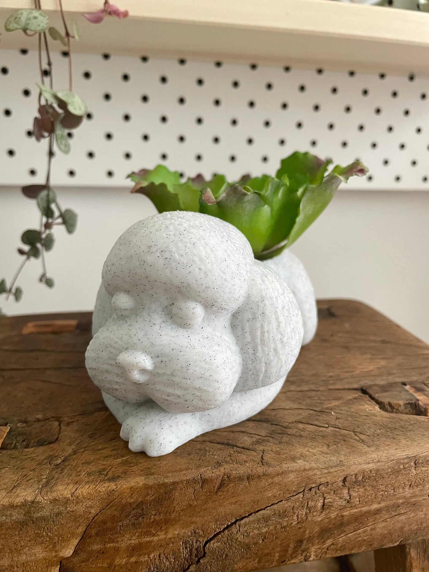 3D Printed Sleepy Poodle Planter /Custom Color/Great Gift for a Plant or Animal Lover/Succulent Plant Holder with drainage