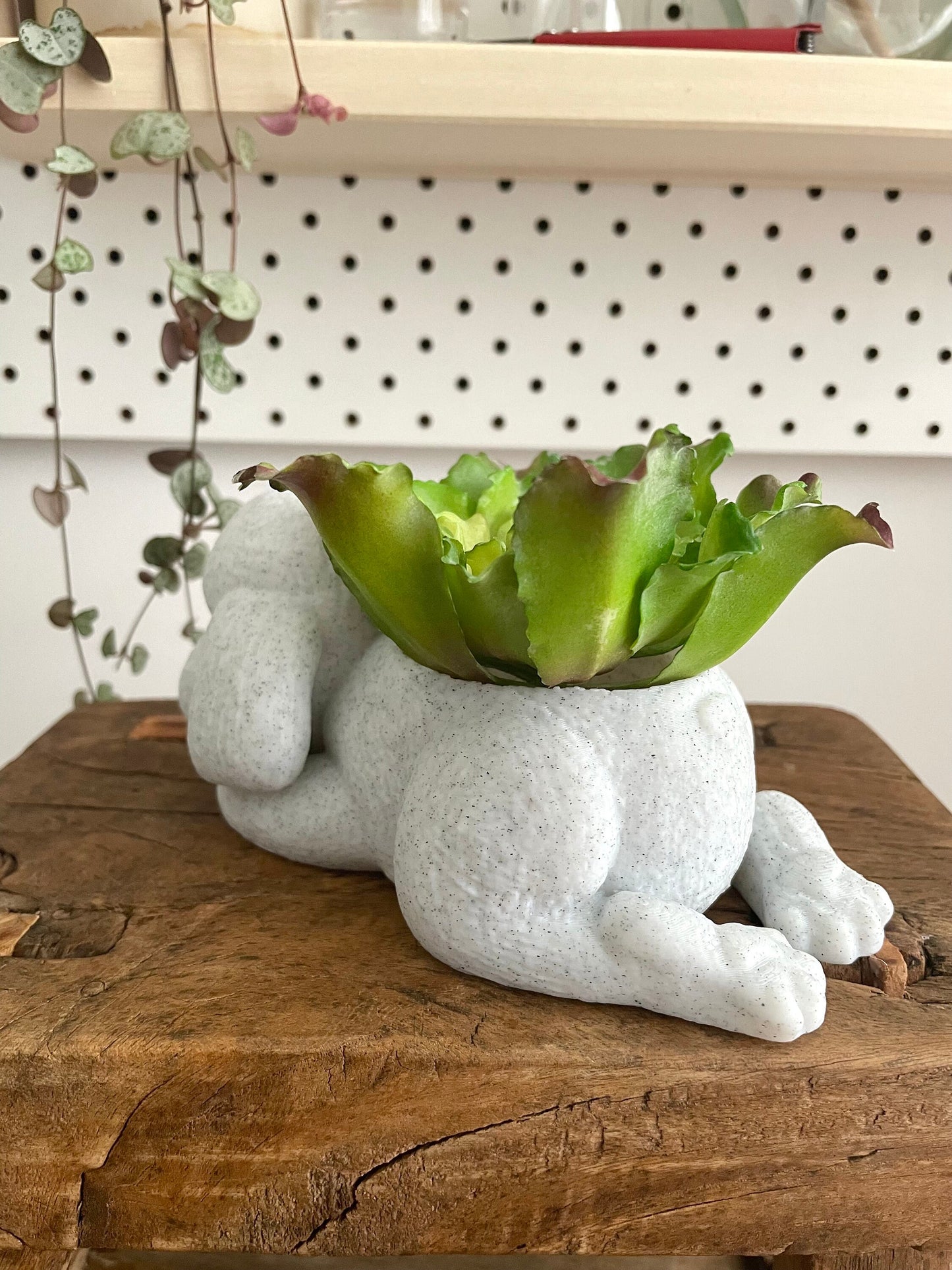 3D Printed Sleepy Poodle Planter /Custom Color/Great Gift for a Plant or Animal Lover/Succulent Plant Holder with drainage