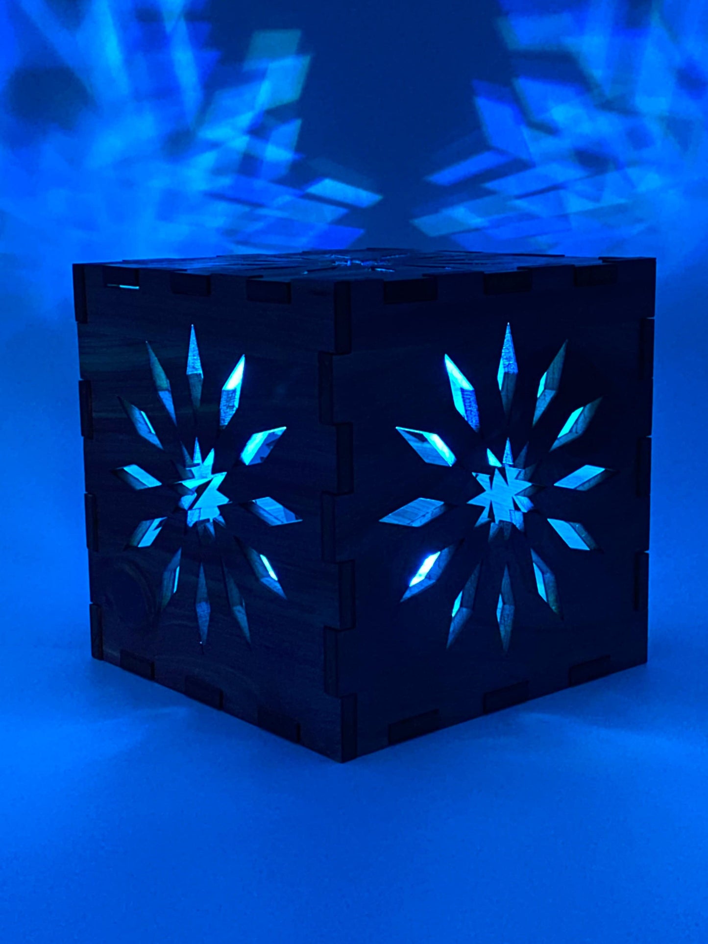 Laser Cut Wooden LED Light Box with Remote/Gift/Flower Light Box/Personalized