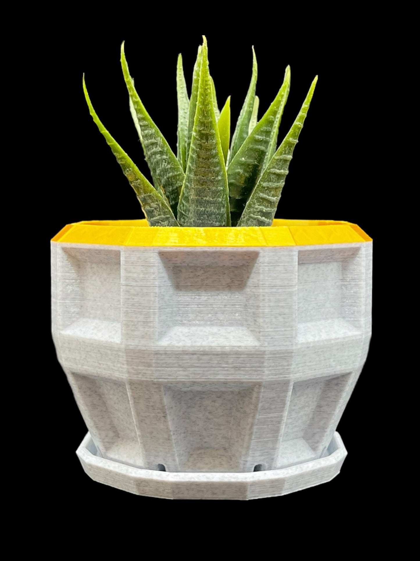 3D Printed Dimensional Planter with Base/Custom Top Rim Color /Great Gift for a Plant Lover/Succulent Plant Holder