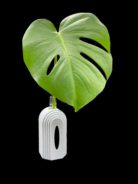 3D Printed Boho Propagation Station /Great for Flowers and Clippings/Custom Color Options/Great Gift for Plant Lovers/Flower Holder