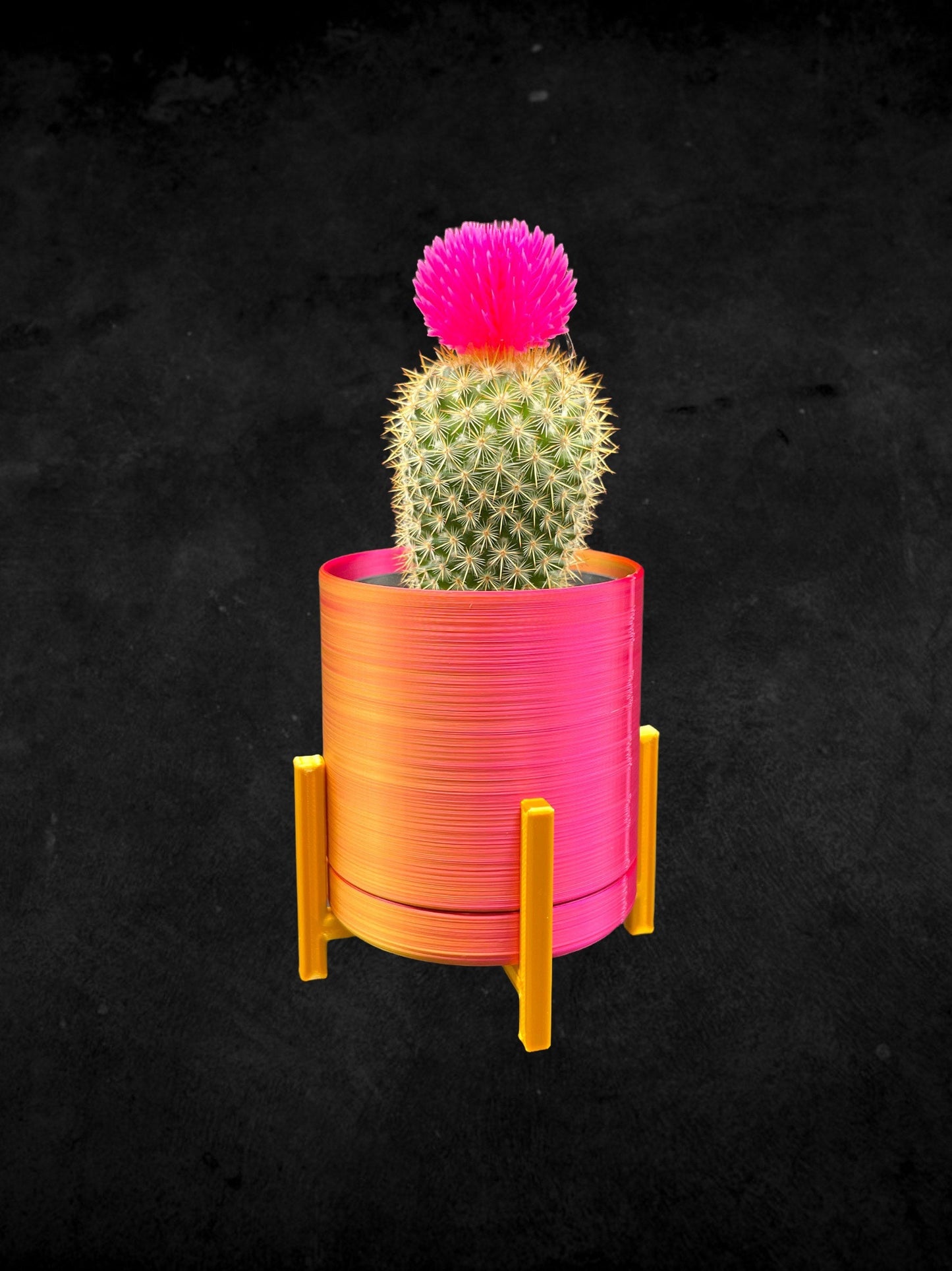 Mini Succulent Planter with Stand 3D Printed/Custom Color with Stand/Great Gift for a Plant Lover/Succulent Plant Holder