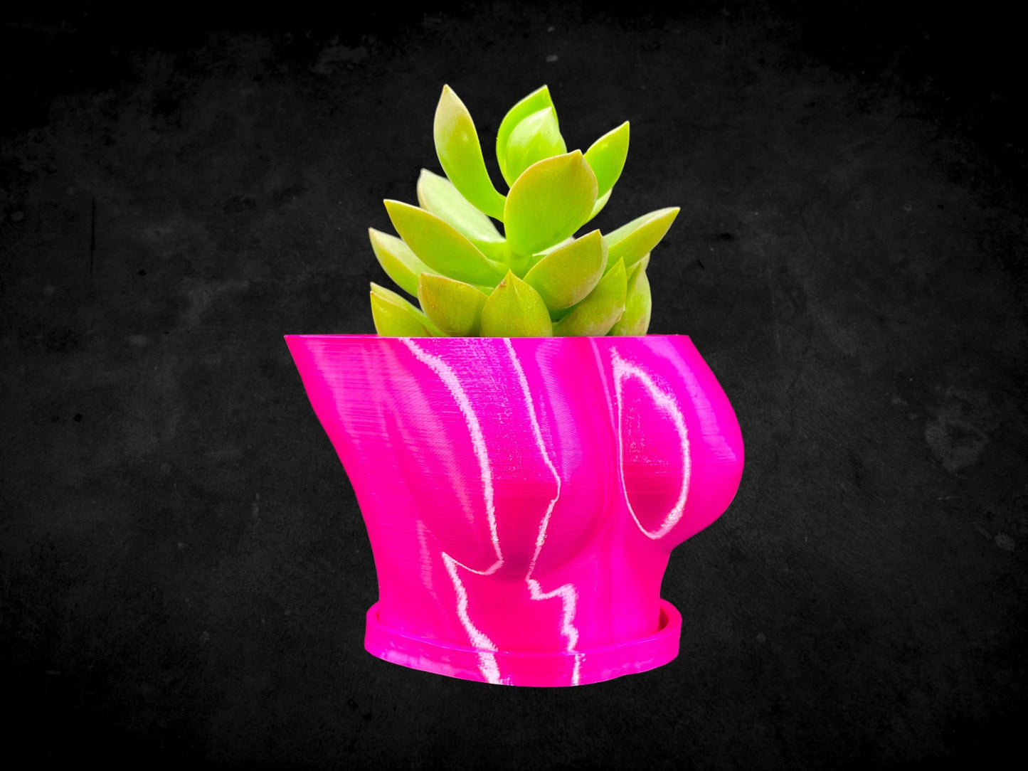 Female Boob (Breast Planter) with Base 3D Printed/Custom Color with Base/Great Gift for a Plant Lover/Succulent Plant Holder Goddess