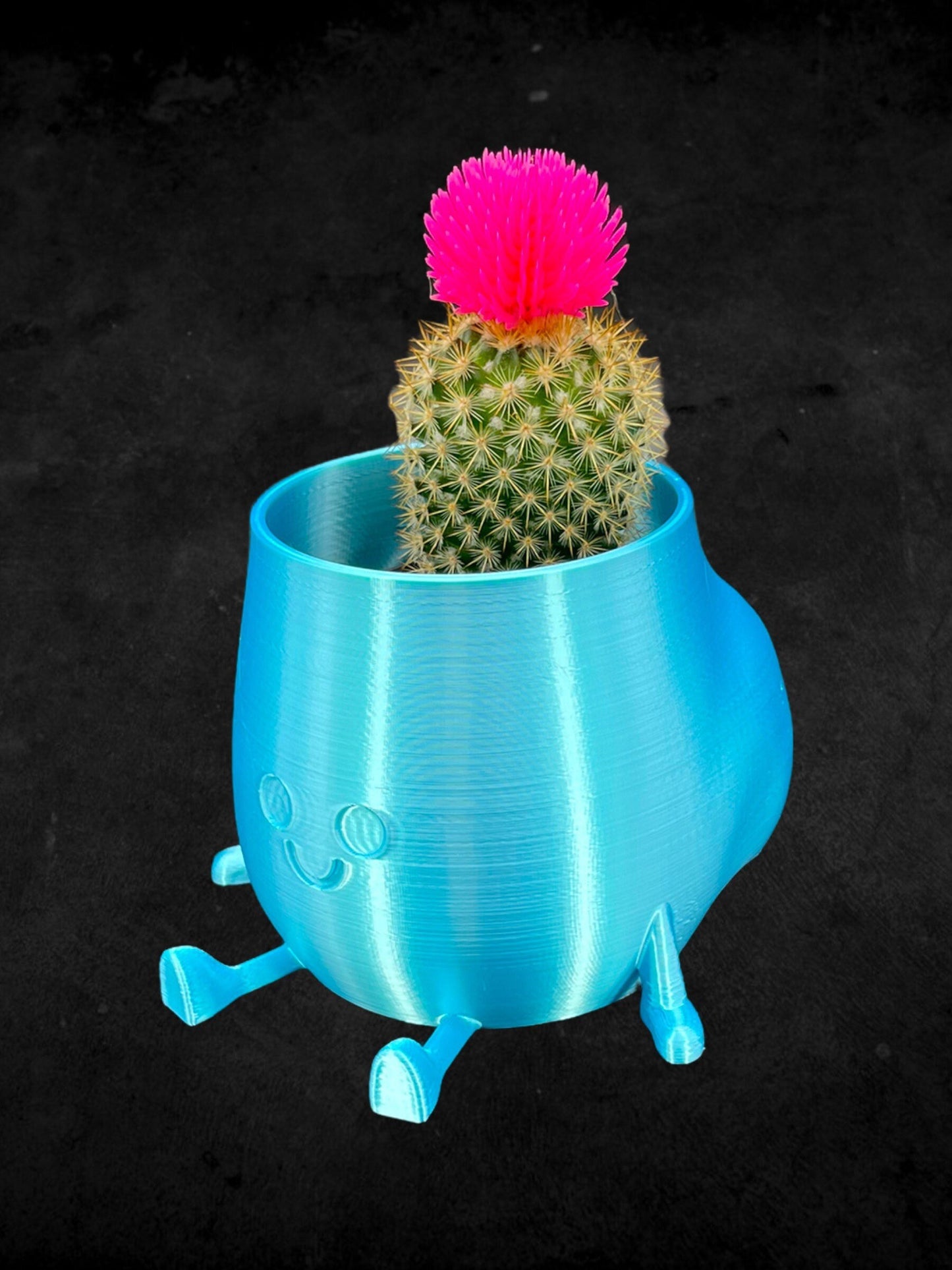 Cheeky Bum Planter 3D Printed /Custom Color & Sizes/Great Gift for a Plant Lover/Chunky Happy Butt Succulent Plant Holder