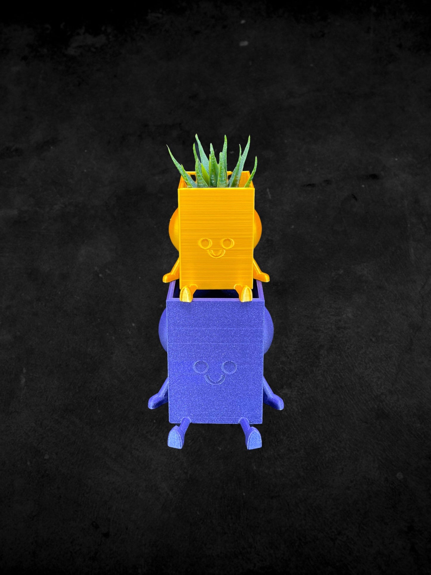 Square Cheeky Bum Planter 3D Printed /Custom Color & Sizes/Great Gift for a Plant Lover/Chunky Happy Butt Succulent Plant Holder