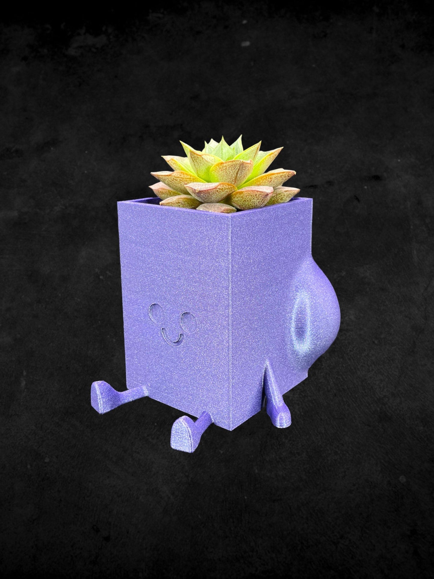 Square Cheeky Bum Planter 3D Printed /Custom Color & Sizes/Great Gift for a Plant Lover/Chunky Happy Butt Succulent Plant Holder