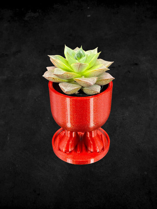 Standing Planter with Base 3D Printed/Custom Color with Base/Great Gift for a Plant Lover/Succulent Plant Holder Space Explorer