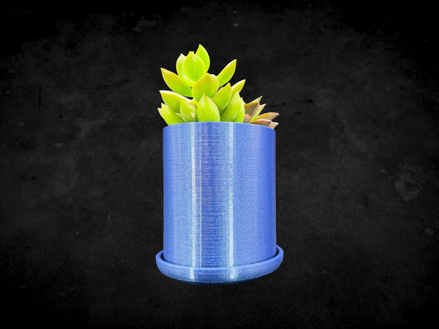 Moai Head Planter with Drain Plate 3D Printed /Custom Color/Great Gift for a Plant Lover/Succulent Plant Holder