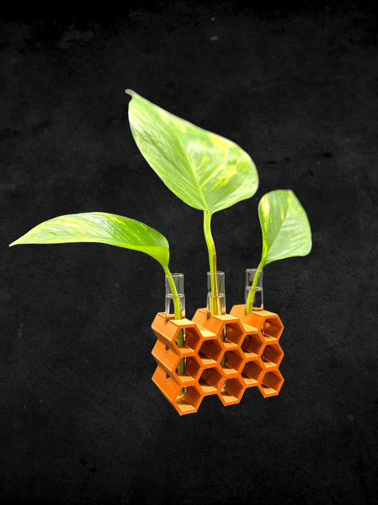 3D Printed Honey Comb Style Plant Propagation Station/with 3 Glass Test Tubes/Custom Color Order/Great for Gift/Flower Holder