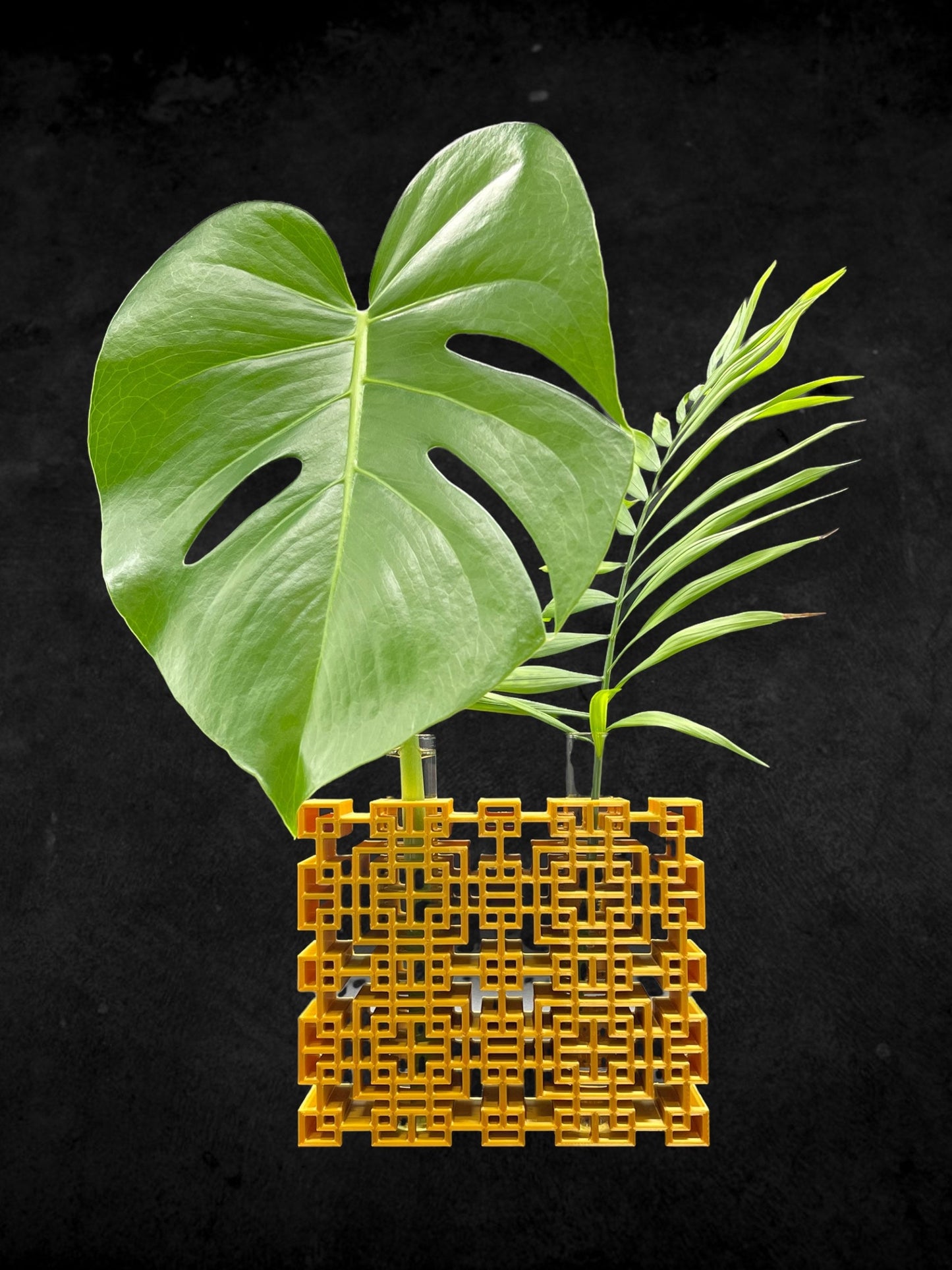 3D Printed Boho Style Plant Propagation Station/with 2 Glass Tube holders/Custom Color Order/Great for Gift/Flower Holder
