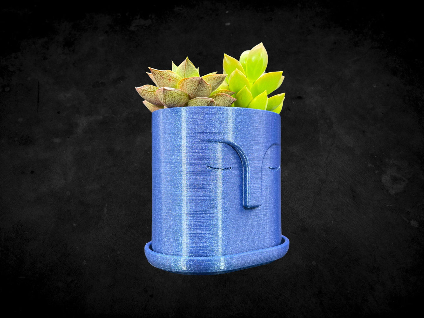 Moai Head Planter with Drain Plate 3D Printed /Custom Color/Great Gift for a Plant Lover/Succulent Plant Holder