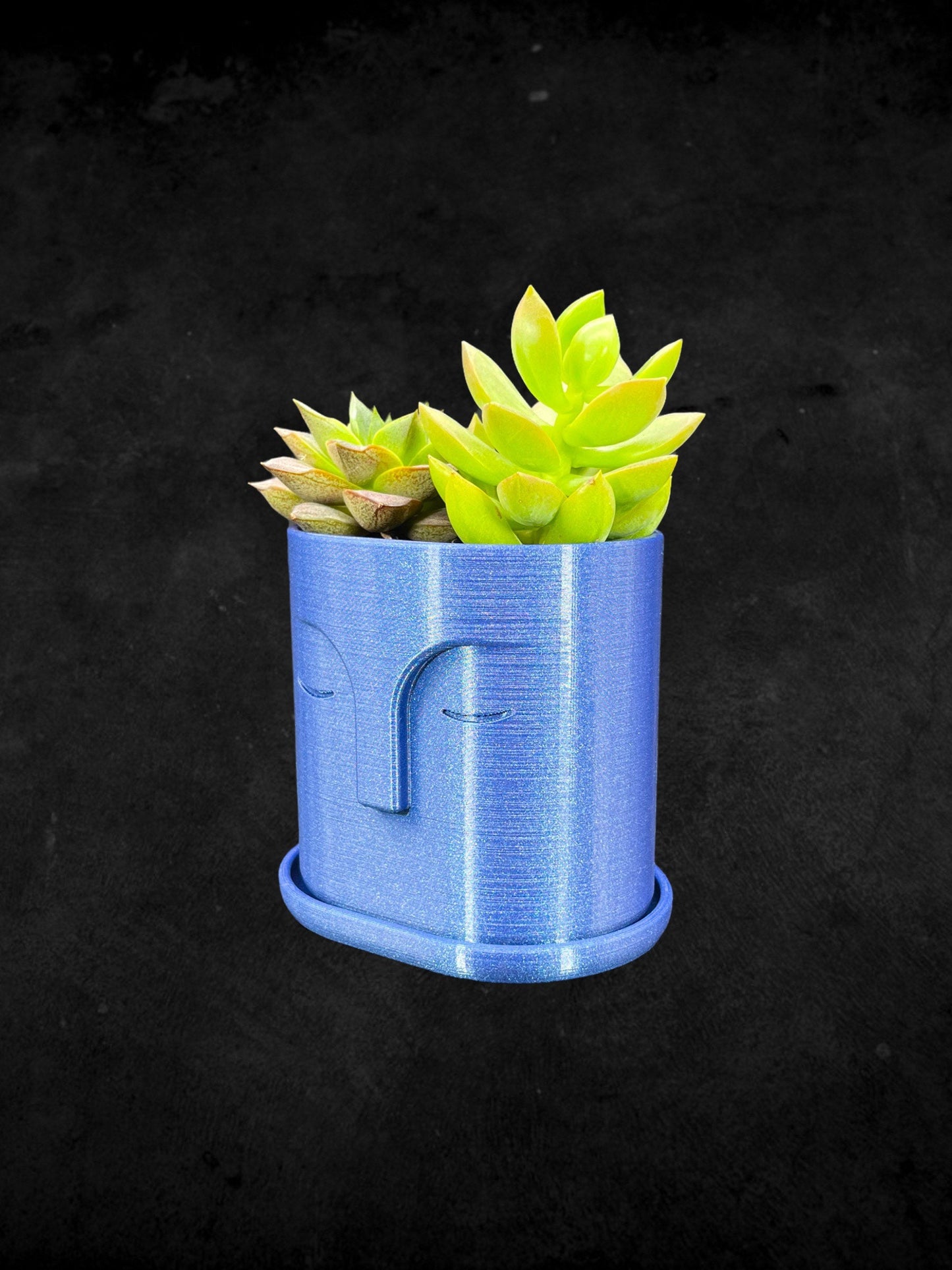 Moai Head Planter with Drain Plate 3D Printed /Custom Color/Great Gift for a Plant Lover/Succulent Plant Holder
