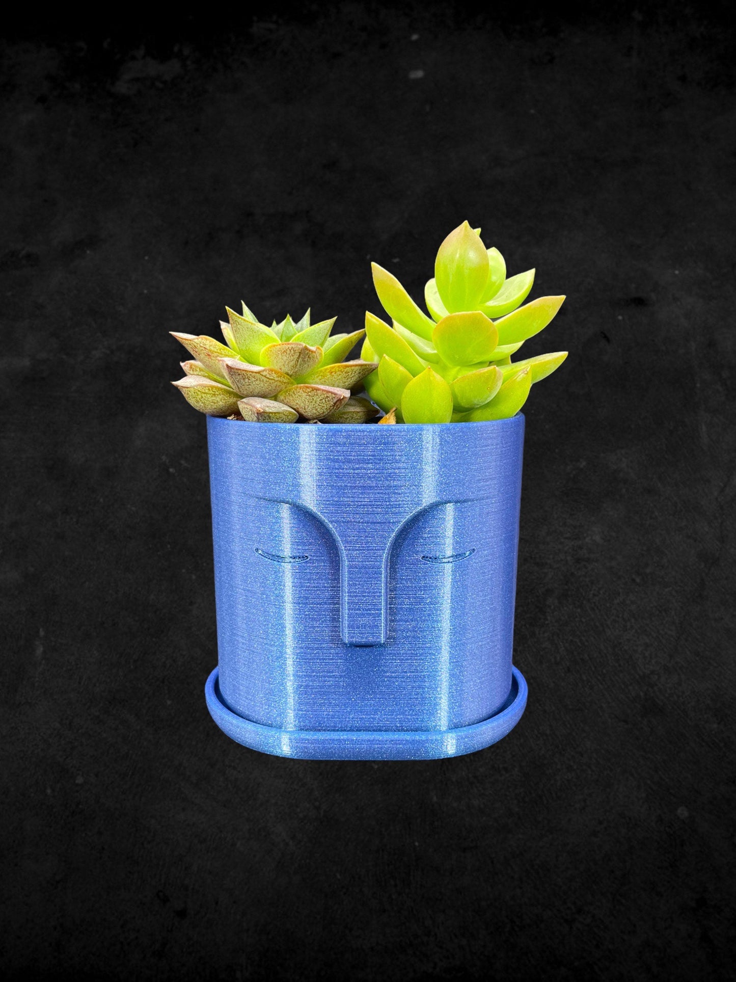 Moai Head Planter with Drain Plate 3D Printed /Custom Color/Great Gift for a Plant Lover/Succulent Plant Holder