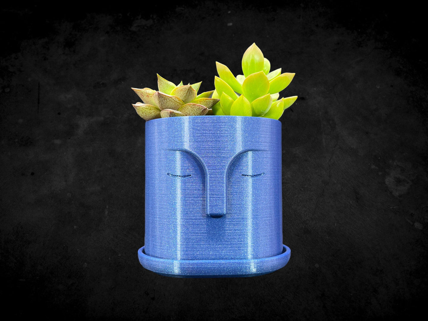 Moai Head Planter with Drain Plate 3D Printed /Custom Color/Great Gift for a Plant Lover/Succulent Plant Holder