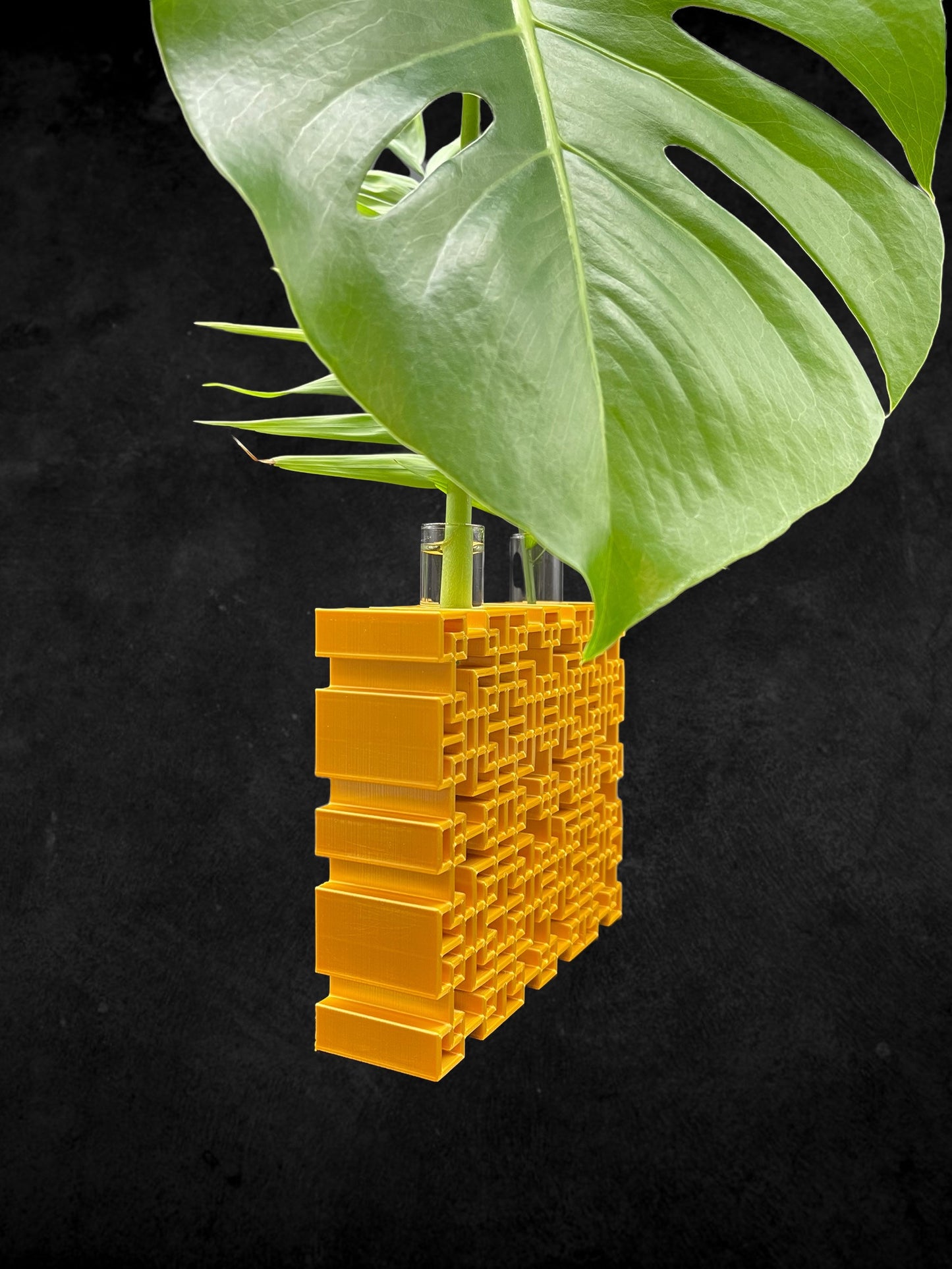 3D Printed Boho Style Plant Propagation Station/with 2 Glass Tube holders/Custom Color Order/Great for Gift/Flower Holder