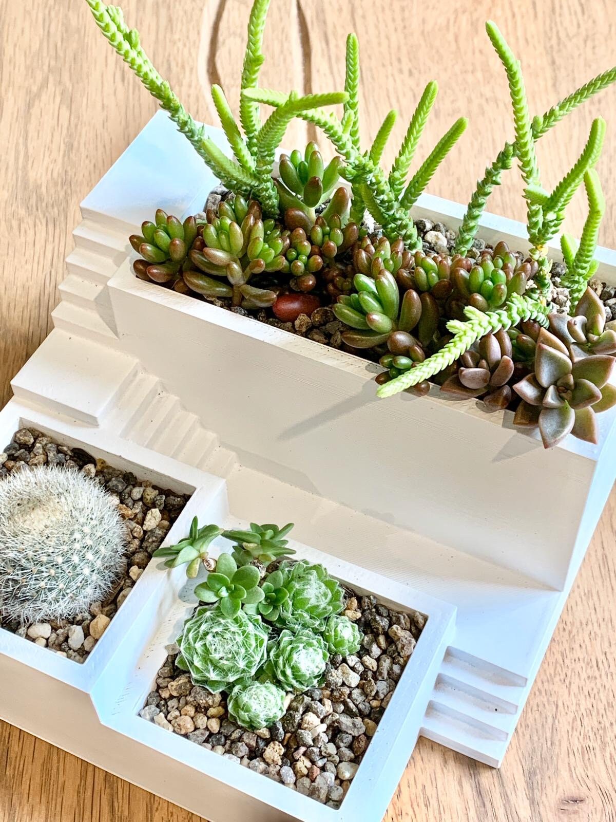 Zen Garden 3D Printed Triple Planter /Custom Color/Great Gift for a Plant Lover/Succulent Plant Holder with drainage and reservoir